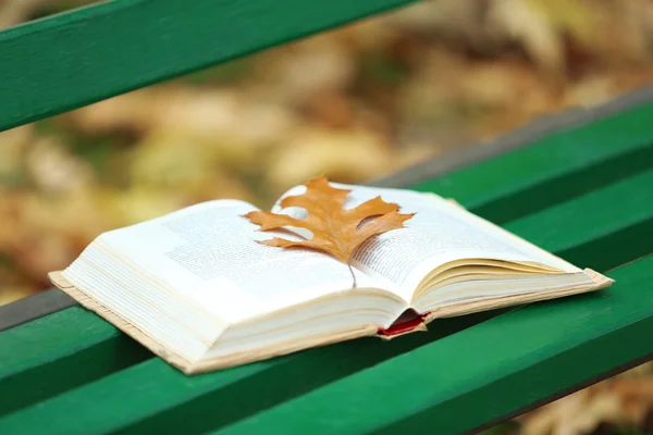 Libro aperto con foglia sdraiata sulla panchina nel parco autunnale — Foto Stock