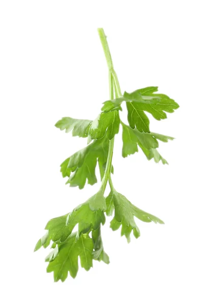 Parsley leaves isolated on white — Stock Photo, Image