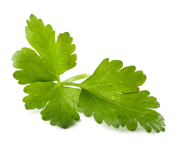Parsley leaves isolated on white — Stock Photo, Image