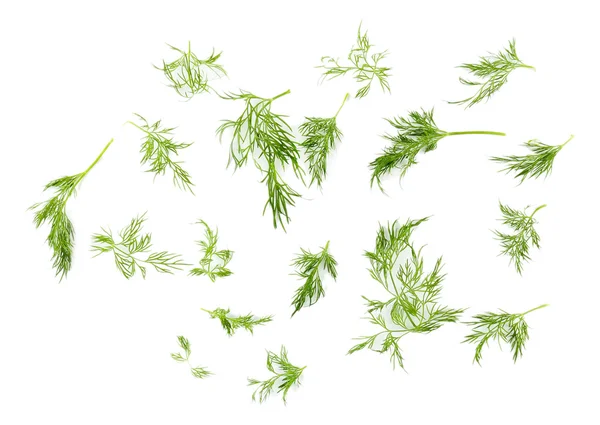 Sprigs of dill isolated on white — Stock Photo, Image