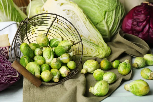 Assortment cabbages Still life — Stock Photo, Image