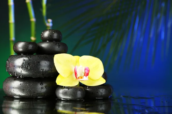 Flor de orquídea com pedras de seixo — Fotografia de Stock