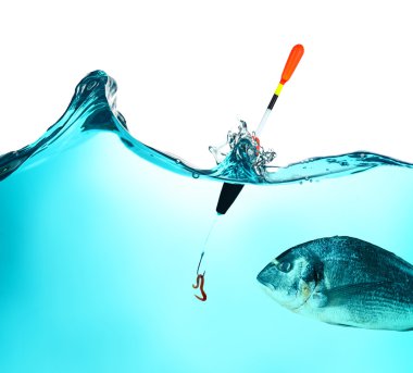 Olta kancası solucan su ile