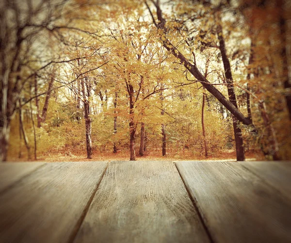 Holzbrett auf dem Herbstpark — Stockfoto