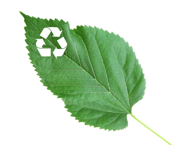 Recycle symbool op groene blad, verwerkingsconcept — Stockfoto