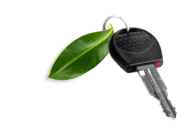 Car key with green leaf trinket isolated on white — Stock Photo, Image