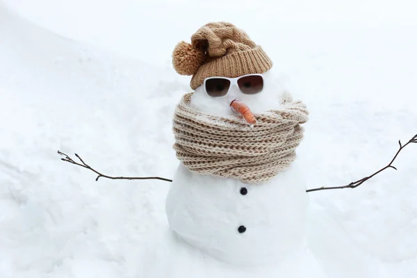 Şapkalı komik kardan adam — Stok fotoğraf