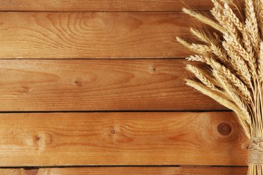 spikelets buğday
