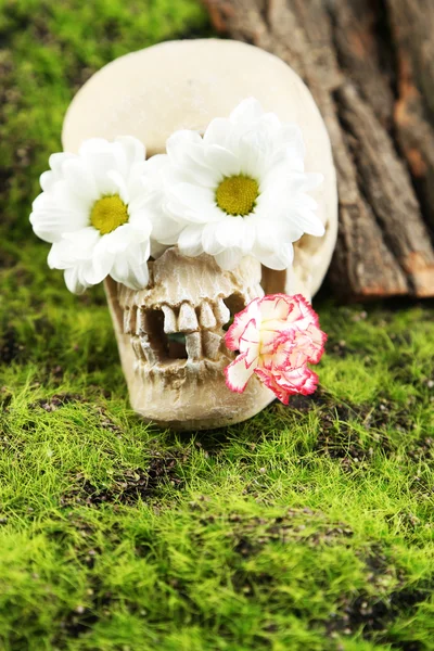 Crânio com flores no fundo grama verde — Fotografia de Stock