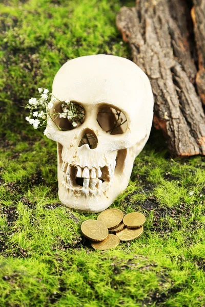 Skull with flowers and coins on green grass background — Stock Photo, Image