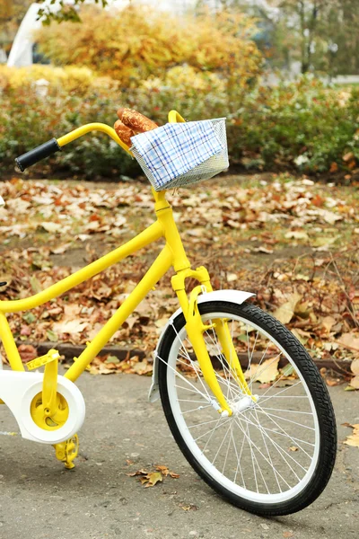 Magnifique vélo jaune dans le parc d'automne avec du pain savoureux dans le panier — Photo