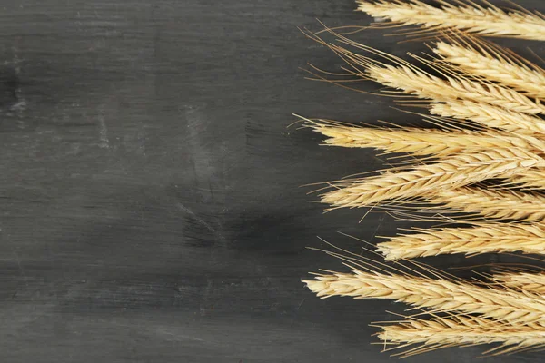 Spikelets of wheat — Stock Photo, Image