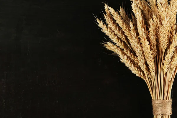 Spikelets of wheat — Stock Photo, Image