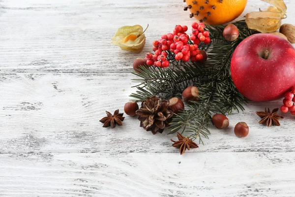 Früchte mit Gewürzen, Eberesche und Tannenzweig auf farbigem Holzhintergrund — Stockfoto