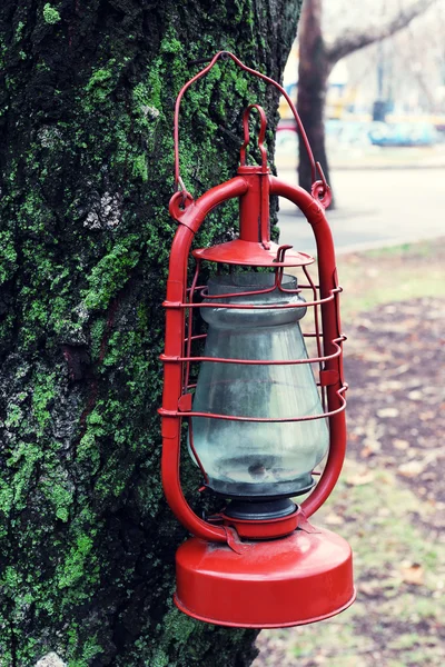 Kerosene lamp on tree, outdoors — Stock Photo, Image