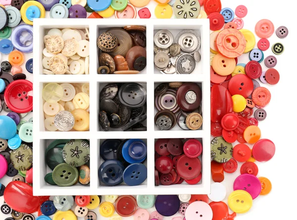 Various of sewing buttons in box on white background, macro view — Stock Photo, Image