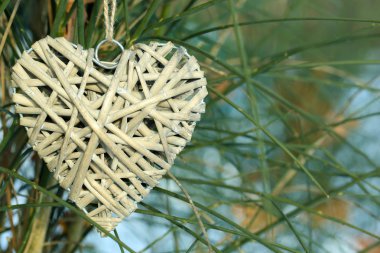 Bush ile kalp dekorasyon