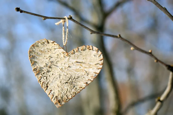 Ramo albero con decorazione del cuore su sfondo natura — Foto Stock