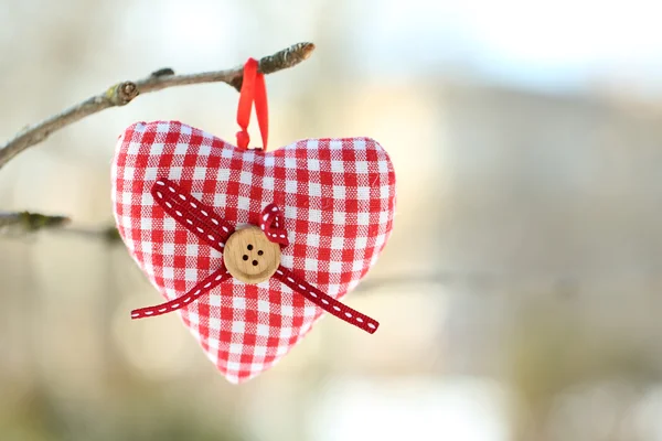 Branche d'arbre avec décoration coeur sur fond nature — Photo