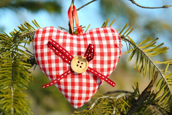 Baumzweig mit Herzdekoration auf Naturhintergrund — Stockfoto