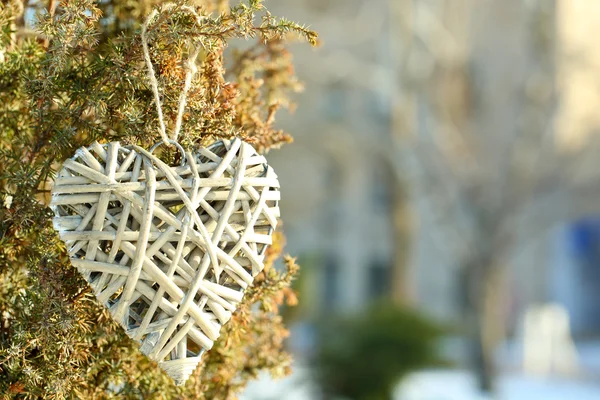 Bush with heart decoration on winter nature background — Stock Photo, Image