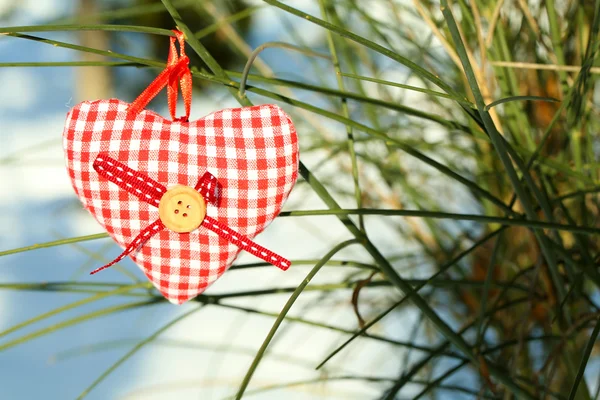 Bush with heart decoration on nature background — Stock Photo, Image