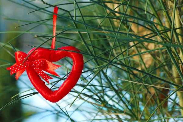 Bush with heart decoration on nature background — Stock Photo, Image