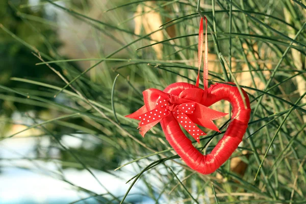 Bush with heart decoration — Stock Photo, Image