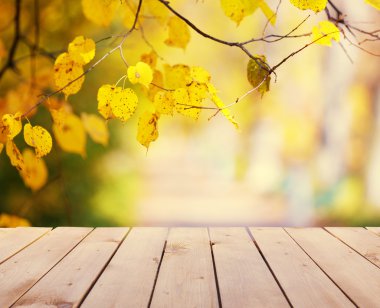 Sonbahar park arka plan üzerinde ahşap tahta