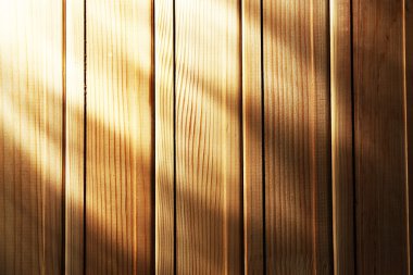 ahşap doku, close up