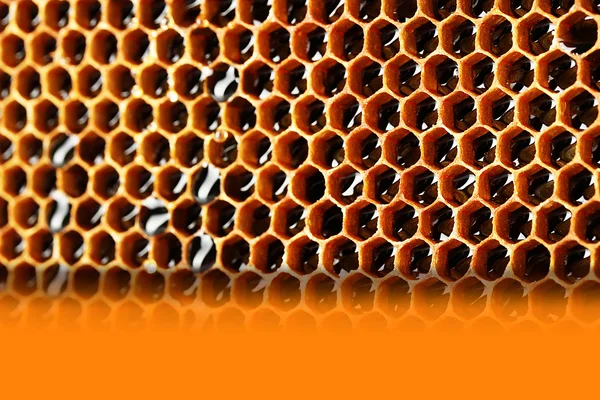 Honeycomb background — Stock Photo, Image