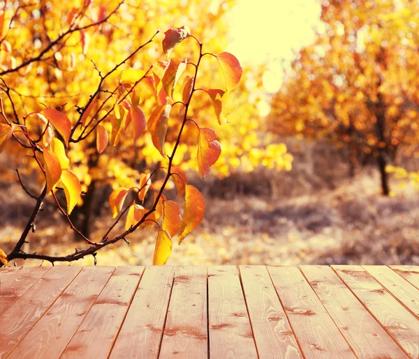 Tavola di legno su sfondo autunno — Foto Stock