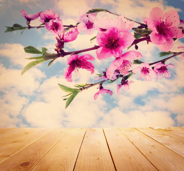 Tavola di legno e fiori di pesco rosa — Foto Stock