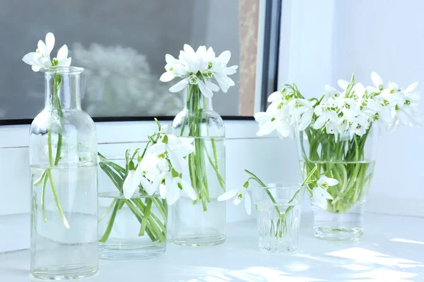 Bouquets of snowdrops in vases — Stock Photo, Image