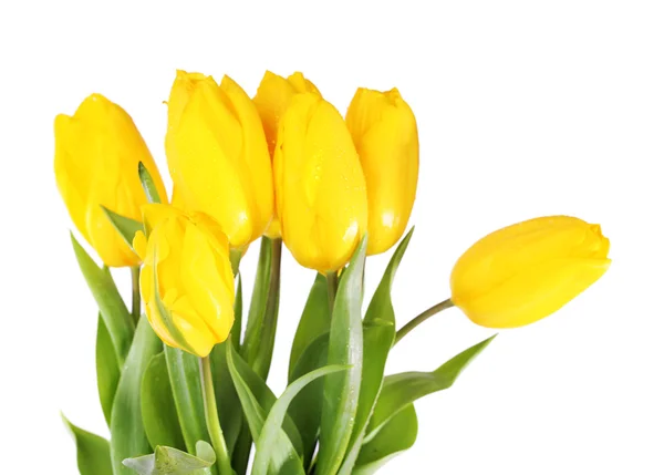 Gele tulpen op lichte achtergrond — Stockfoto