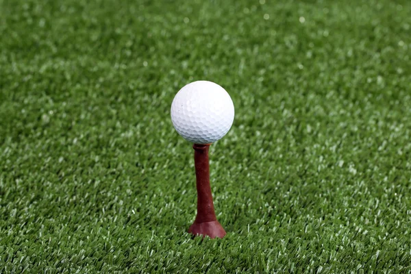 Golf labda, zöld fű szabadtéri közelről — Stock Fotó