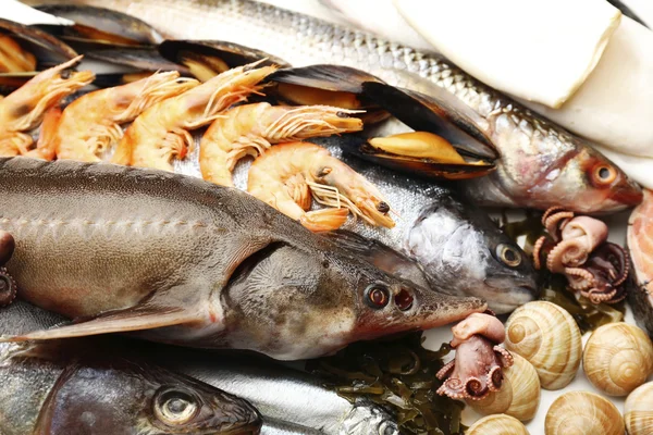 Catture fresche di pesce e altri frutti di mare primo piano — Foto Stock