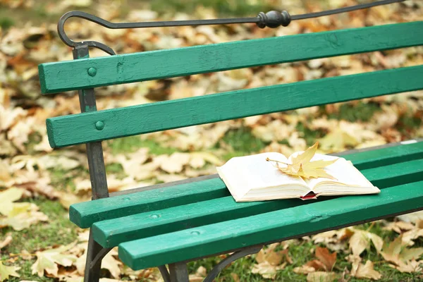 Open boek met blad liggend op de Bank in herfst park — Stockfoto