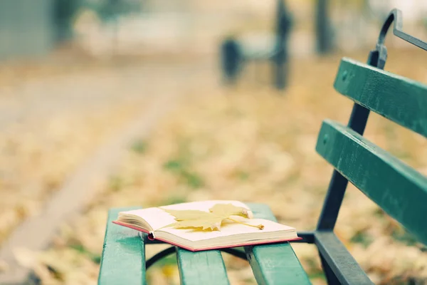 Open book with leaf on it lying on the bench in autumn park — Stock Photo, Image