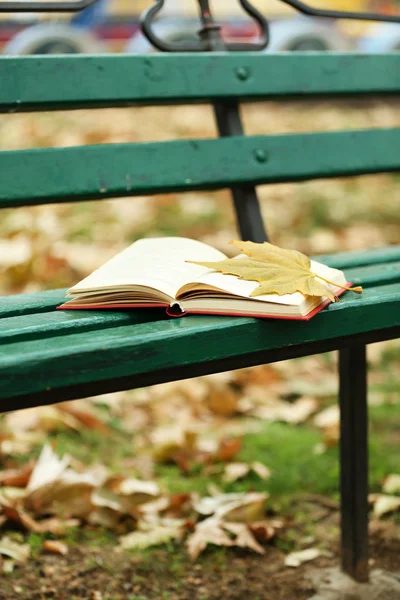 Livro aberto com folha sobre ele deitado no banco no parque de outono — Fotografia de Stock