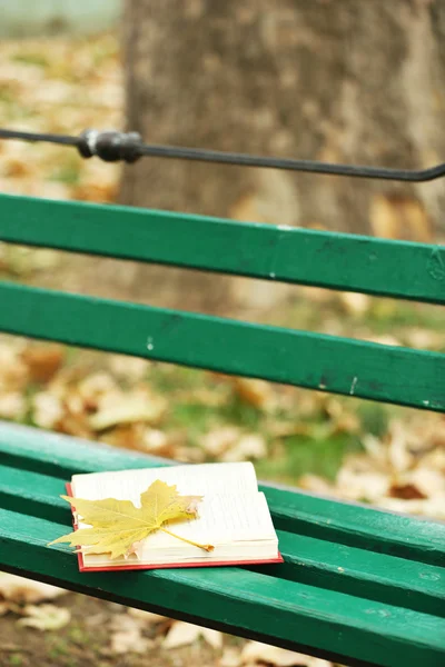 Livro aberto com folha sobre ele deitado no banco no parque de outono — Fotografia de Stock