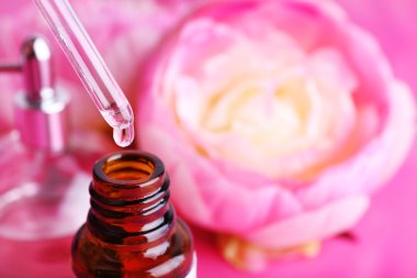 Damlalık şişe parfüm pembe bir arka plan üzerinde Şakayık ile