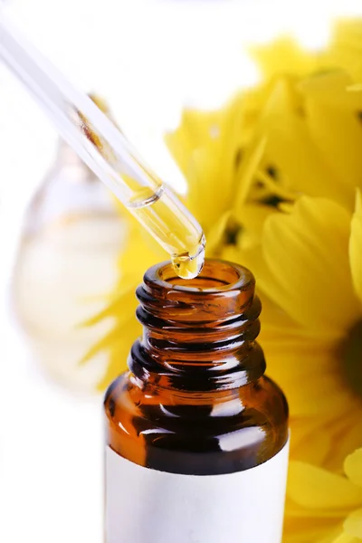 Dropper bottle of perfume with yellow chamomile on white background — Stock Photo, Image