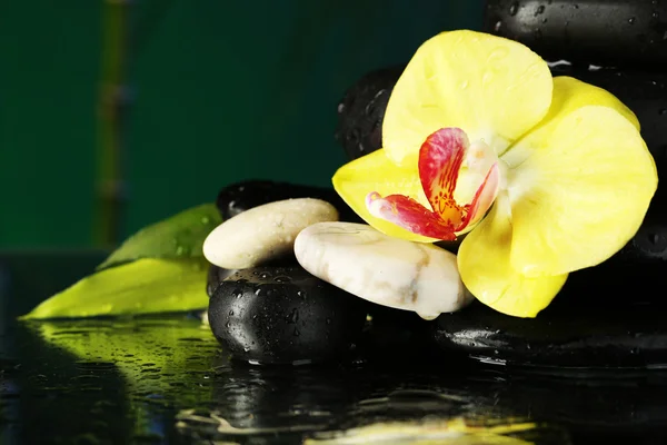 Fiore del Orchid con le pietre di ciottolo — Foto Stock