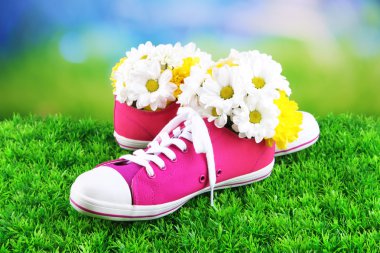 Lastikbotlar çiçekler içinde