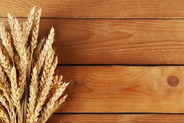 Spikelets of wheat — Stock Photo, Image