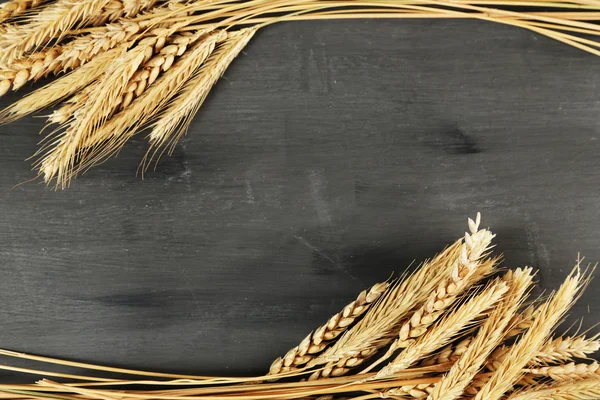 Espiguillas de trigo — Foto de Stock