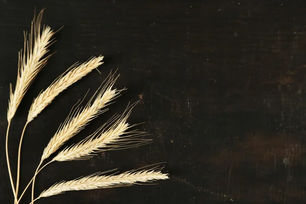 Épillets de blé — Photo