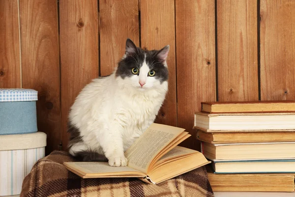 Cat sitting with book on plaid — Stock Photo, Image