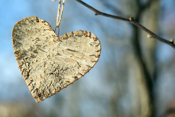 Tree branch with heart decoration — Stock Photo, Image